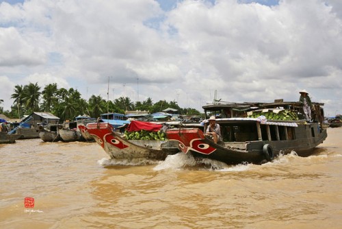 Tham quan vẻ đẹp chợ nổi Cái Bè 